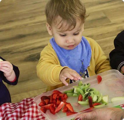 Experimentação de alimentos — Mini Maternal Aquarela School