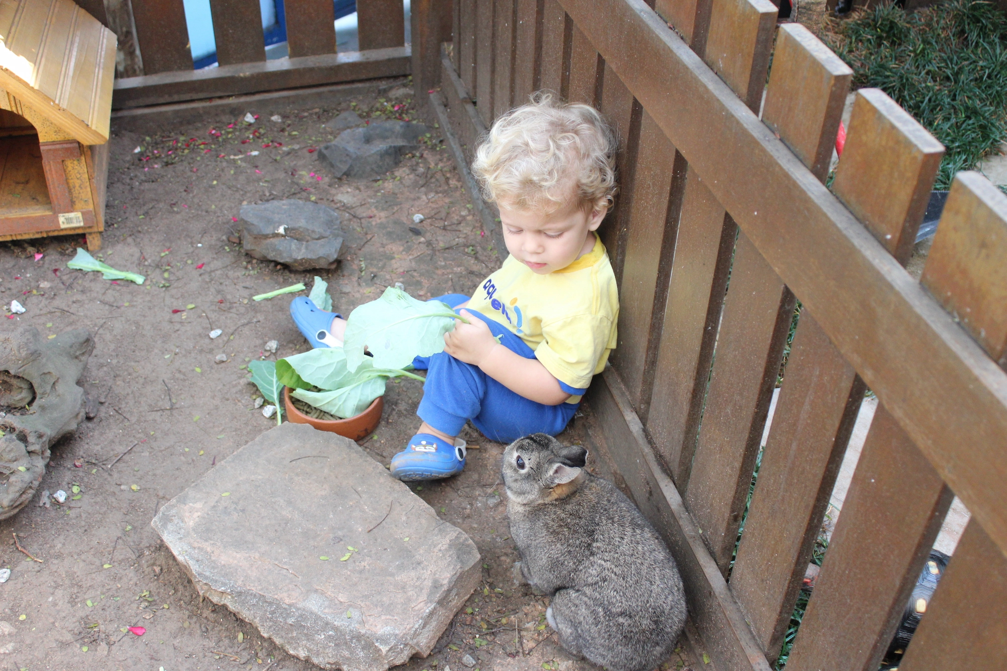 Pátio e área de recreação da Aquarela School