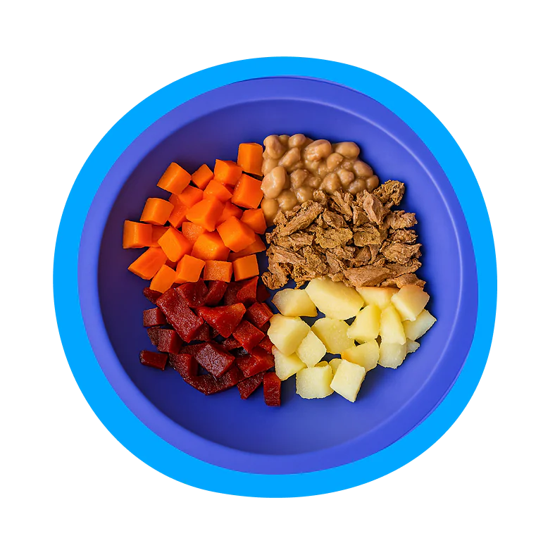 App de acompanhamento de alimentação da Aquarela School